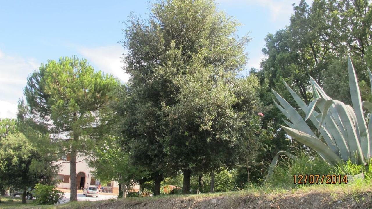 Locanda San Marino Al Coppo Monte Grimano Terme Eksteriør bilde